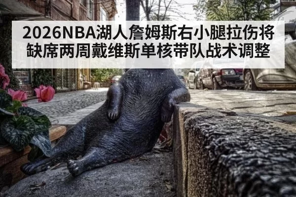 2026NBA湖人詹姆斯右小腿拉伤将缺席两周戴维斯单核带队战术调整 - ayx