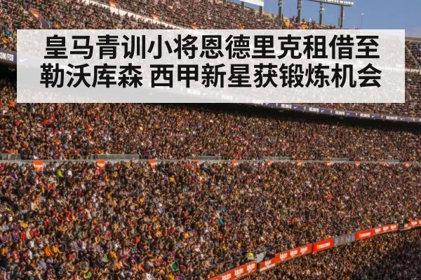 football stadium crowd
